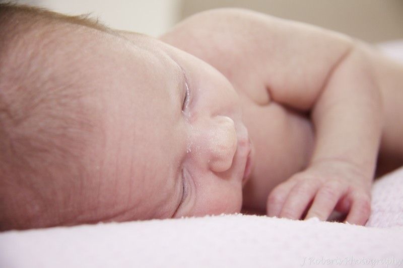 newborn baby - newborn portrait photography sydney